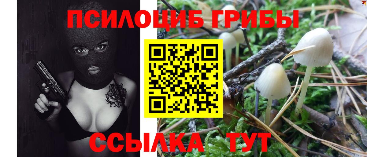 Галлюциногенные грибы Psilocybine cubensis Сочи