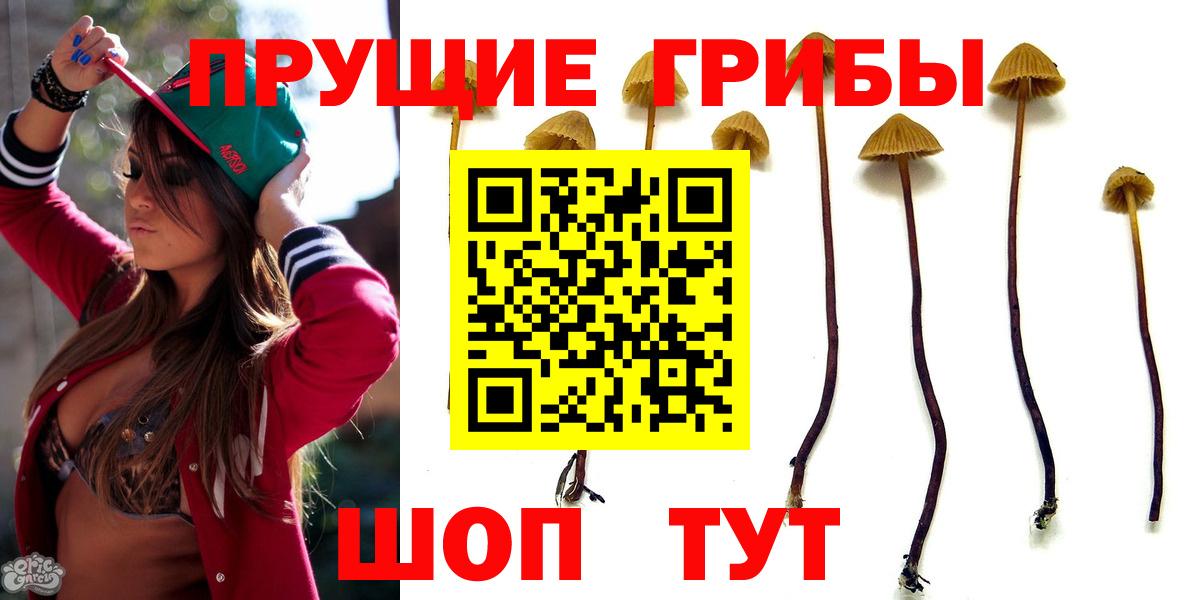 Псилоцибиновые грибы GOLDEN TEACHER  Вход с VPN  цена   Сочи 